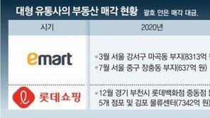부동산 팔아 현금 쌓는 유통 맞수… ‘대어 인수전’ 불뿜는다 