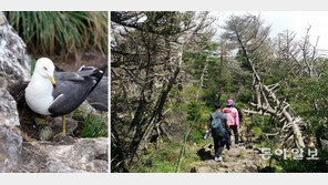 꽃 한달 빨리 피고 알 덜 낳고… 기후변화가 국립공원 생태계 바꿨다 