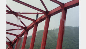 코인 폭락에 투신 소동? ‘봉암교 오른’ 남성, 알고 보니…