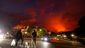 美 LA 대형 산불에…엉뚱한 사람 용의자 수배한 ‘시민 안전 앱’
