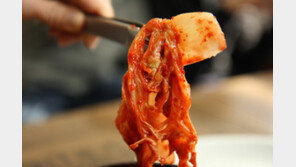 중국산 김치 15개 제품서 식중독균…절임배추엔 보존료 무단사용