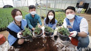 꽃을 든 KT&G… 화훼농가 지원 ‘가화만社성’ 프로그램 운영