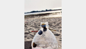 [고양이 눈]탈출