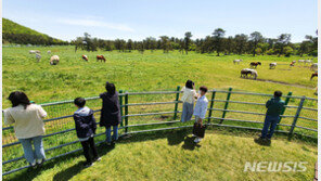 [날씨]‘부처님 오신날’ 전국 맑은 하늘…낮기온 최고 29도