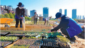생태순환 텃밭에 모종 심는 시민들