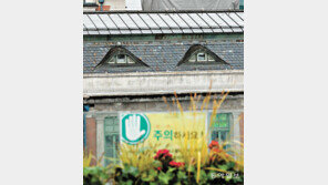 [고양이 눈]“지켜보고 있다”