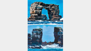 자연 침식으로 붕괴된 갈라파고스의 명물… ‘다윈의 아치’ 기둥만 남았다