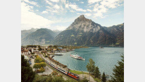 EU, 백신접종자 입국 허용…‘화이트리스트’ 국가도 확대