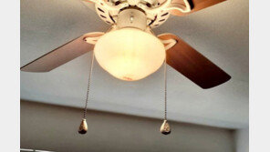 ‘공포 영화인 줄…’ 천장 선풍기서 떨어진 피의 정체는?