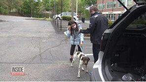 인터뷰하는 척 접근…생방송 현장서 ‘개 도둑’ 잡은 기자