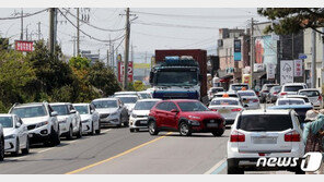 반복되는 제주 렌터카 바가지 논란…상하한제 vs 담합 우려