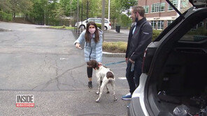 훔친 개 데리고 인터뷰한 도둑, 기자 눈썰미에 ‘덜미’