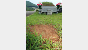 홍문표 “윤석열 조부 묘 훼손은 테러…수사기관 총동원해야”