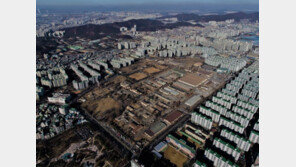 아파트값 가장 많이 뛴 경기-인천…‘외지인-30대 이하’ 상승 주도