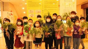 [포토]농업박물관, ‘채소의 품격, 미나리전’ 개최