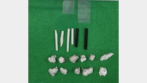 학교서도 ‘마약성 진통제’ 투약… 고교생 등 10대 42명 검거 