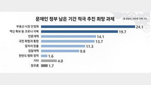 文정부 적극 추진 희망 과제…부동산 24.1%·코로나 19.7%