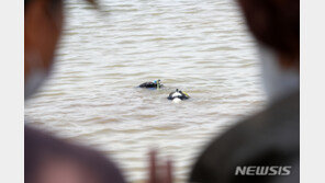 ‘한강 대학생 사망’ 가짜뉴스 범람…경찰, 법리검토 착수