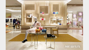 루이비통, 핸드백 가격 인상…올해 들어 다섯 번째