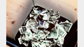 강남 거리 쓰레기통에 갈기갈기 찢긴 100만원이…“홧김에”