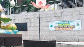 [고양이 눈]청계천 지킴이