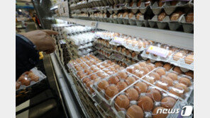 밥상물가 고공행진 계속…서민들 “먹고살기 힘들다”