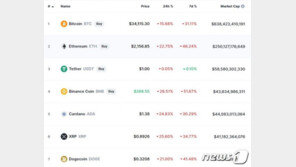머스크보다 더 센 中부총리…도지코인 21% 폭락