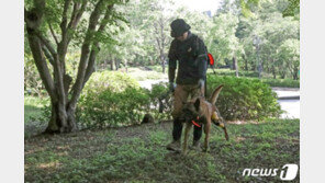 포항 실종 20대 男간호사 실종 46일째…경찰 수색견 투입 수색