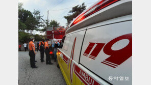 부산신항 물류센터서 30대 근로자 지게차에 깔려 숨져