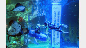 “어린이에게 건강한 바다를” 포토타임 행사 