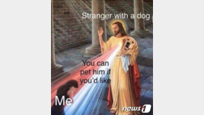 머스크 약발 다했나…예수까지 동원했지만 암호화폐 폭락