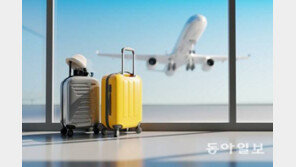 한국발 여행객, 美 공항환승때 짐검사 다시 안받는다 