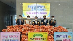 ㎏당 1000원하던 양파, 5월 들어 500원으로 곤두박질