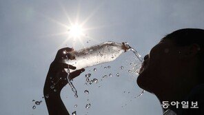 “올여름 평년보다 덥다” 작년처럼 ‘이상기후’ 가능성
