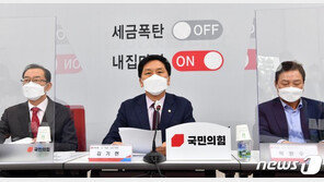 野 부동산 정책 공개…“종부세 부과·재산세 감면, 12억으로 상향”