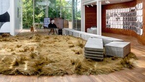 베니스 건축전에 완도 미역국이?