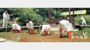 창덕궁서 모내기 행사… 조선 왕들의 친경례 재현