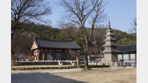 칠곡 송림사 대웅전 등 팔공산 주변 3개 불전, 보물된다