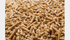 “국제적 시류에 발맞추어 산림자원의 적절한 활용방법 모색 필요”