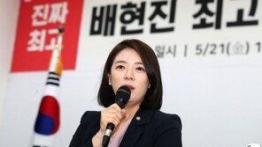 배현진 “깃발 들어야 할 때 우물쭈물 않겠다…패배주의 불식”