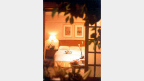 허니문의 추억, 힐튼호텔 사라지나…[청계천 옆 사진관]