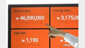 비트코인 4600만원대 유지…‘롤러코스터 장세’ 벗어난 암호화폐