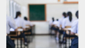 수업중 제자에 “아이 잘 낳게 생겼다”…50대 교사 벌금 250만원