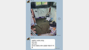 “빈 초소에서…” 남녀 소위 휴일 만남 적발되자 누리꾼 ‘응원’