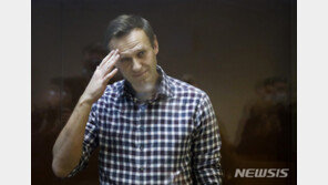 나발니, 판사 모욕 등 혐의 3개 추가…“나는 지하 범죄세계 꼭두각시”