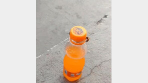 음료수 뚜껑 돌려서 열기…꿀벌 2마리 협동작전, 사람처럼 해냈다