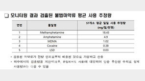 전국 하수처리장서 필로폰·프로포폴 검출…국민 추정 사용량 공개
