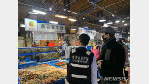 국산으로 둔갑한 일본산 ‘돔’…수산물 원산지 위반 무더기 적발