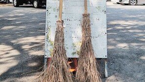 [고양이 눈]감사합니다