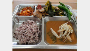 軍부실급식 점검 野의원에 삼겹살 수북…알고보니 ‘월1회 특식’